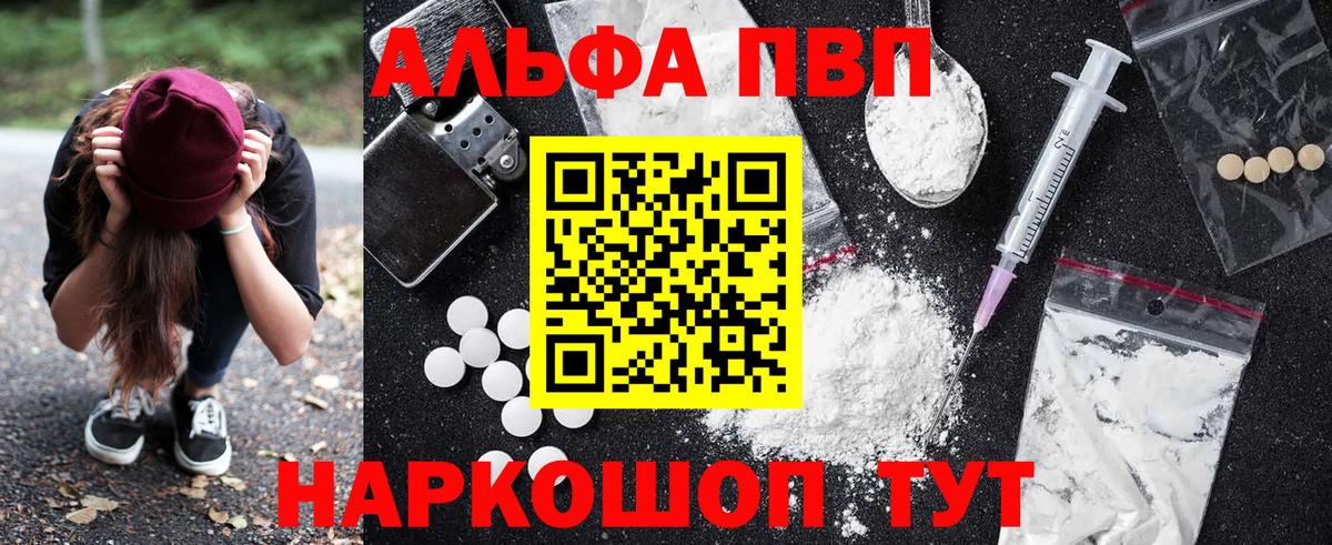 Alfa_PVP СК  как найти   Канаш  Вход с VPN  Alpha PVP СК КРИС 