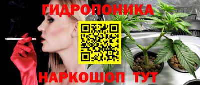 мяу мяу мука Лесосибирск