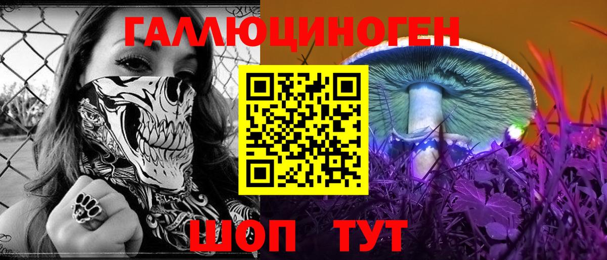 Канаш  Галлюциногенные грибы Cubensis  Вход с VPN 